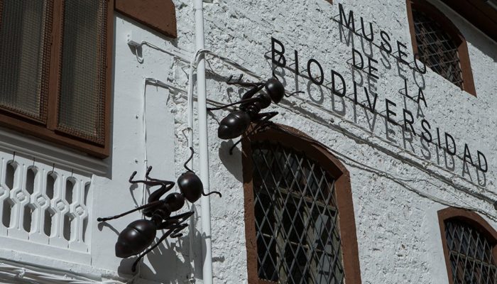 museo-de-la-biodiversidad-de-ibi-turismo-interior-de-alicante-que-ver-en-ibi-3